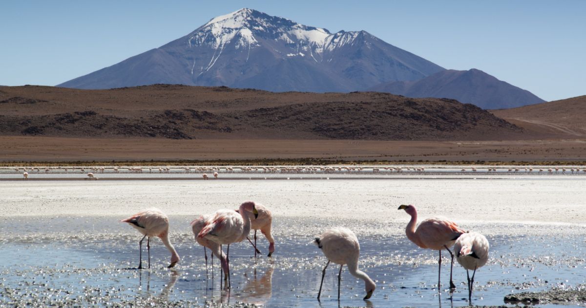 Paesaggi lunari, atmosfere magiche: cosa vedere e cosa fare in Bolivia